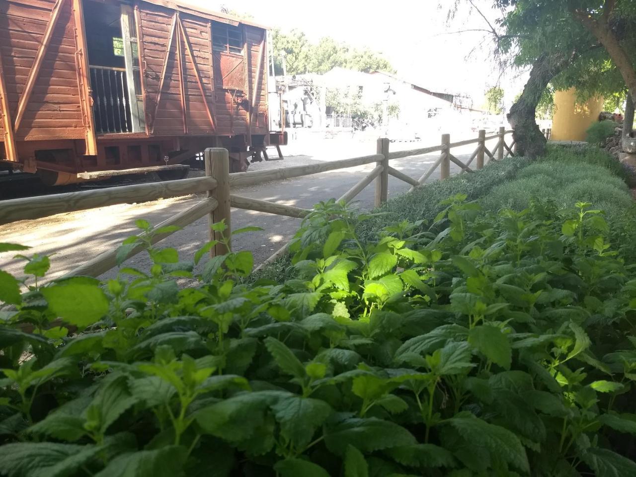Готель Hostal Nicol'S Luque Екстер'єр фото